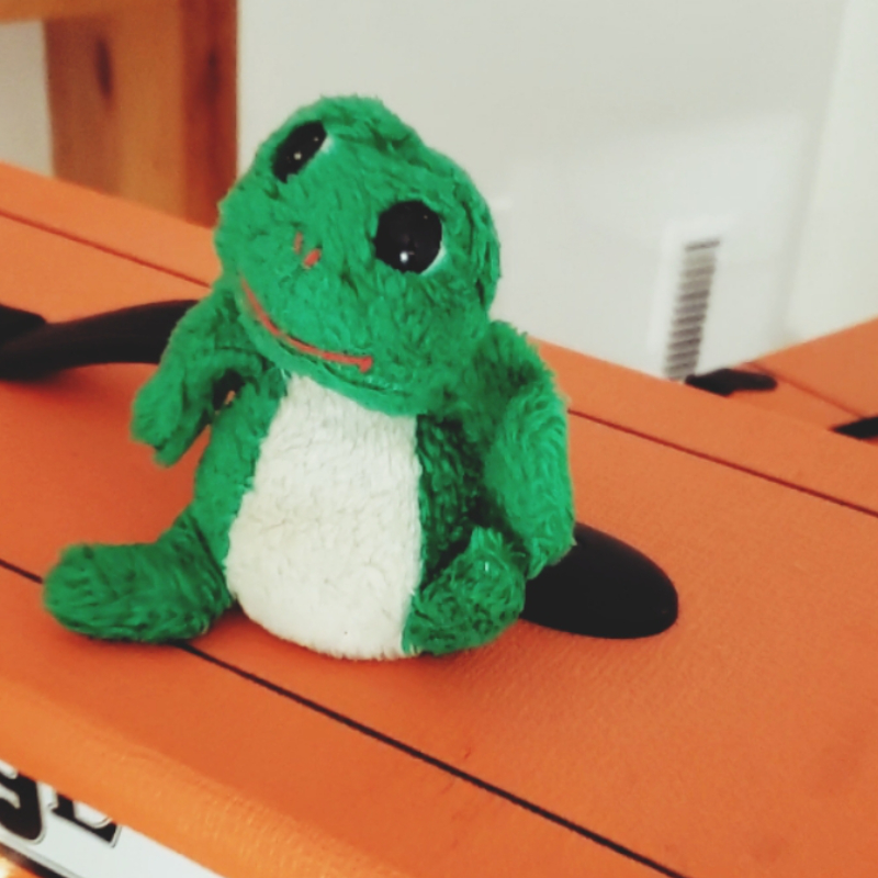 Greener sitting on amp